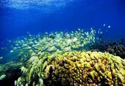 背上行囊，讓心去旅行：全球最吸引人的20個(gè)旅游目的地